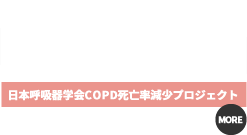 木洩れ陽2032